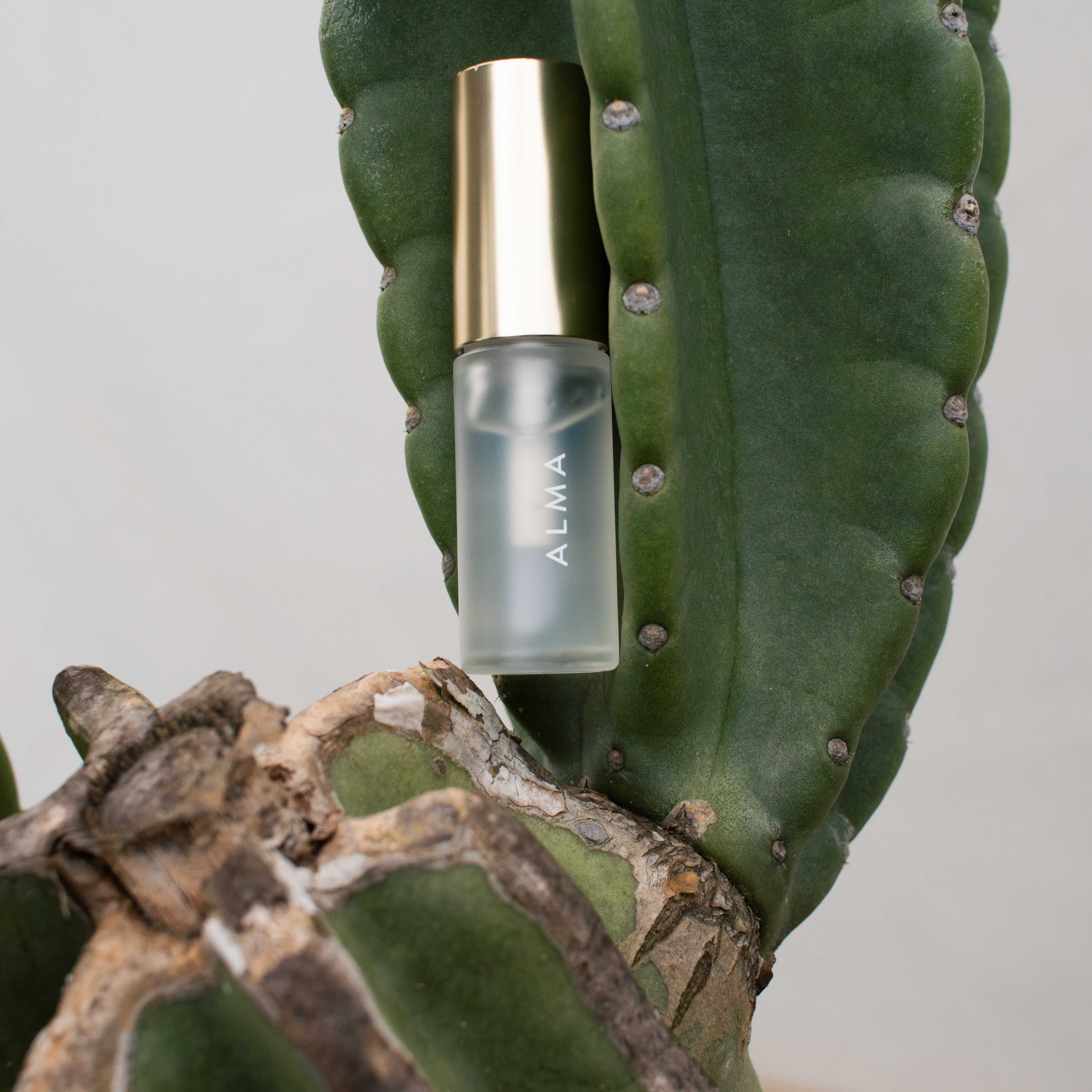 【01 Seidr】Freyja Serum【唇美容液】