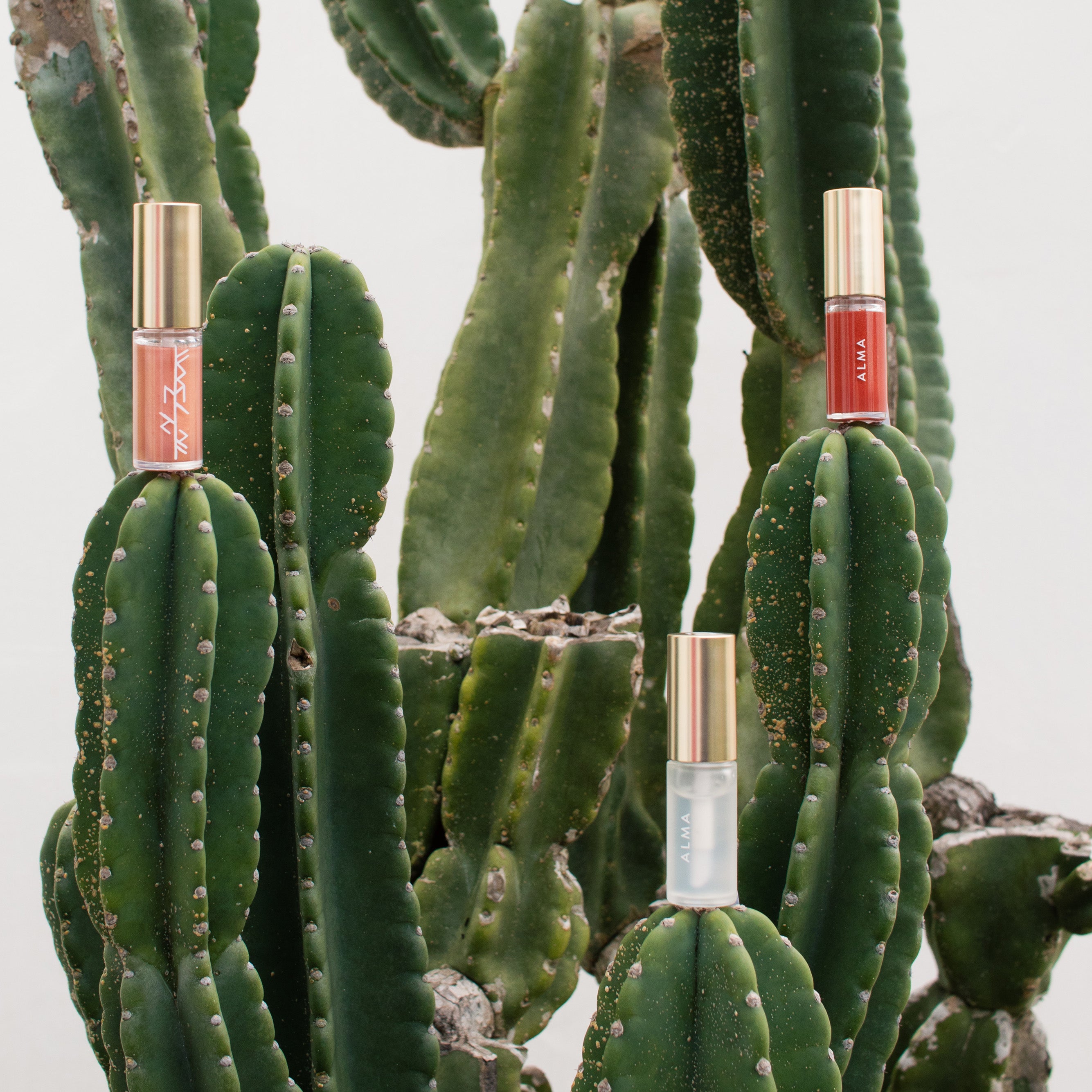 【01 Mardoll】Freyja Liquid rouge【リップグロス】