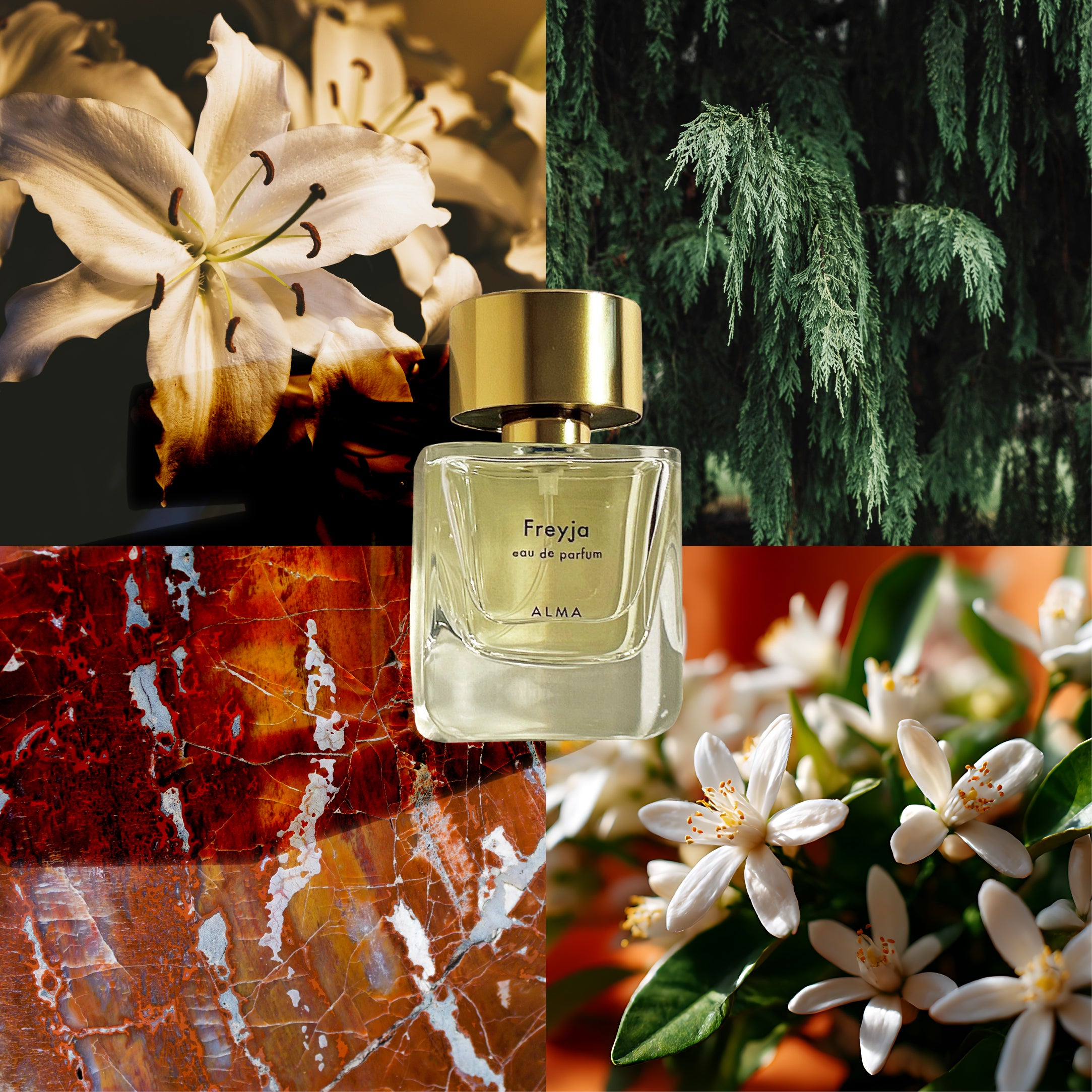 Freyja Eau de Parfum［Freyja × Kukuri EDP（mini）setプレゼント］
